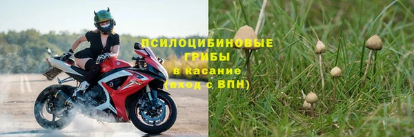 стафф Горнозаводск